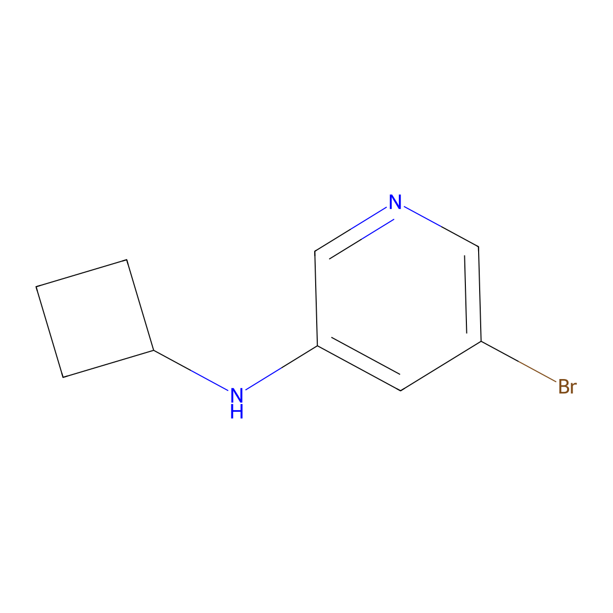 5-bromo-N-cyclobutylpyridin-3-amine molecular structure, CAS 1257554-60-1