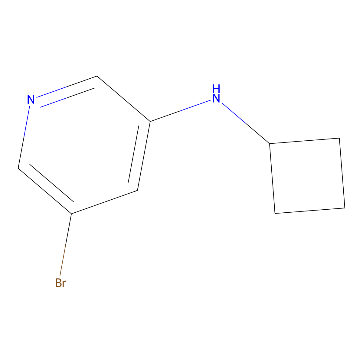 5-bromo-N-cyclobutylpyridin-3-amine molecular structure, CAS 1257554-60-1