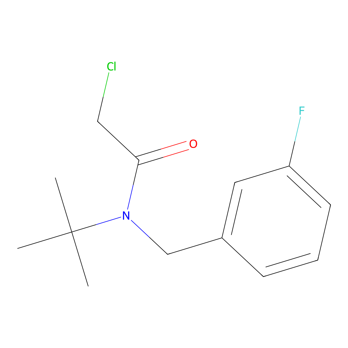 N-tert-butyl-2-chloro-N-((3-fluorophenyl)methyl)acetamide molecular structure, CAS 1258641-16-5