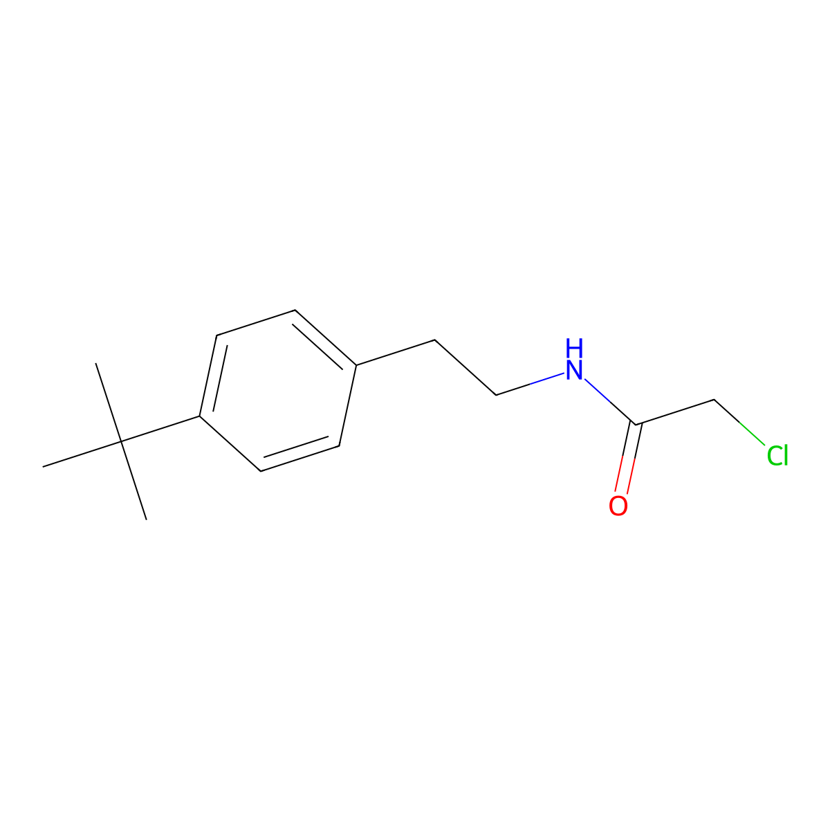 N-[2-(4-tert-butylphenyl)ethyl]-2-chloroacetamide molecular structure, CAS 1258641-22-3