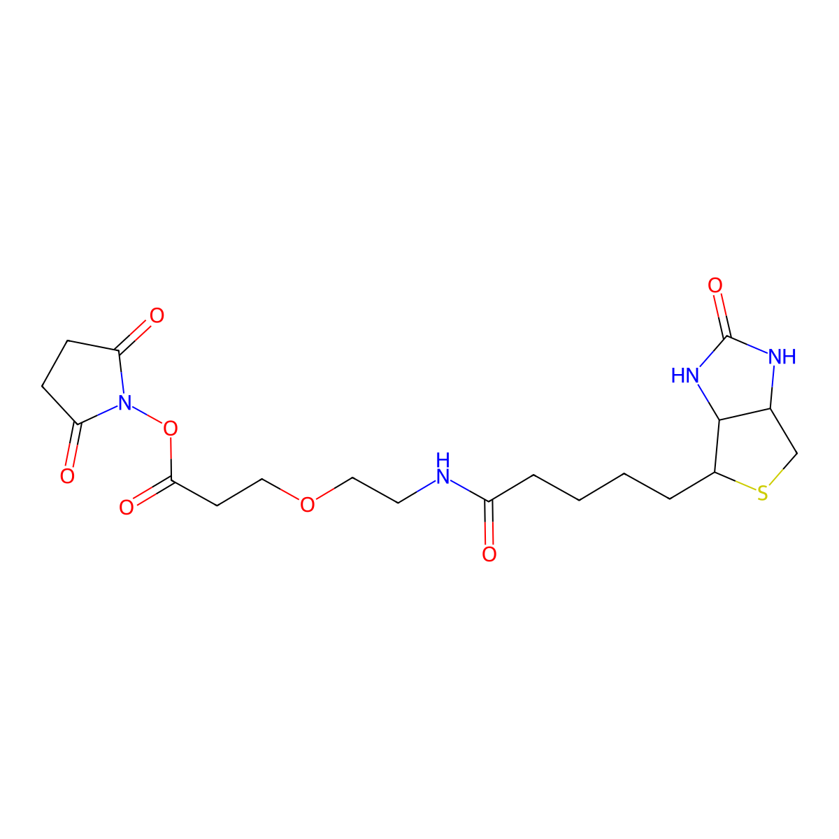 2,5-Dioxopyrrolidin-1-yl 3-(2-(5-(2-oxohexahydro-1H-thieno[3,4-d]imidazol-4-yl)pentanamido)ethoxy)propanoate molecular structure, CAS 1260092-31-6