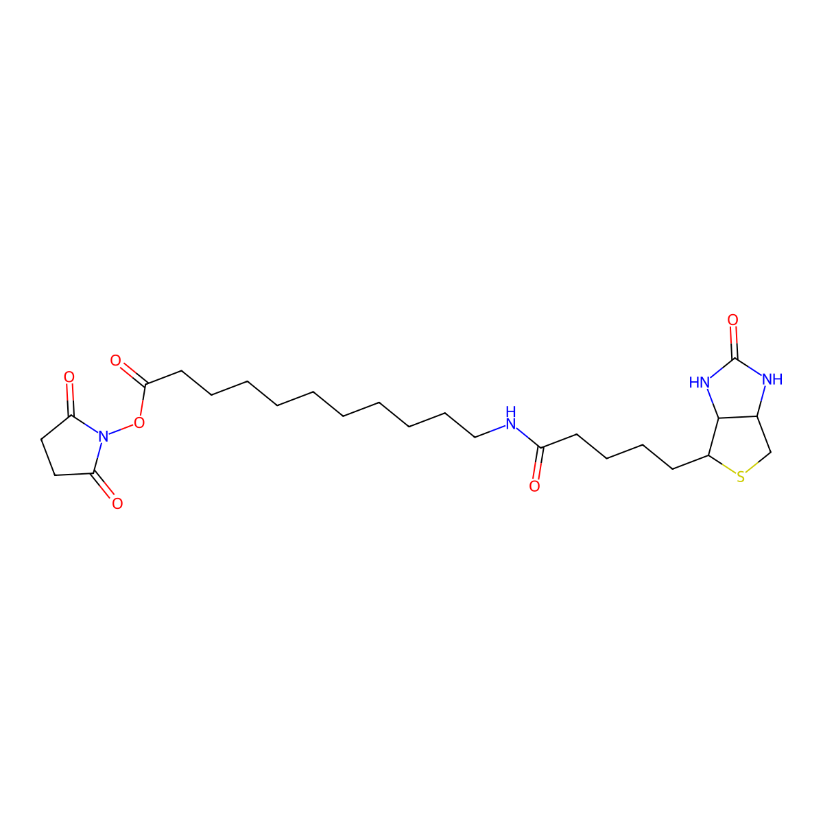 Biotin-SLC-NHS Ester molecular structure, CAS 1260092-37-2