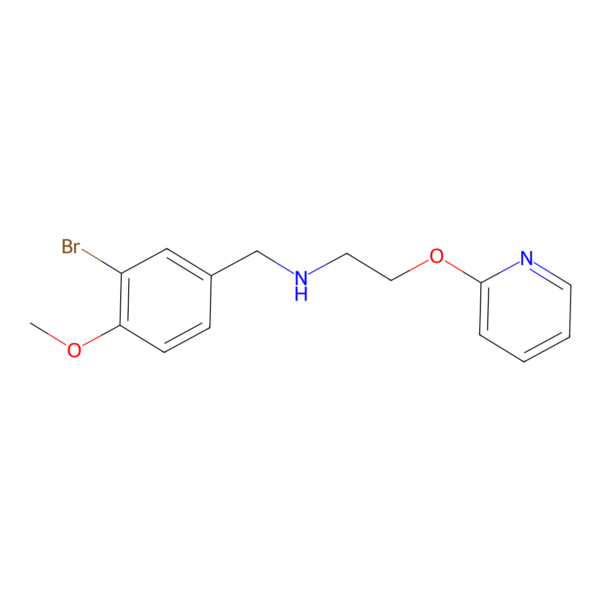 N-(3-bromo-4-methoxybenzyl)-2-(pyridin-2-yloxy)ethanamine molecular structure, CAS 1260713-90-3