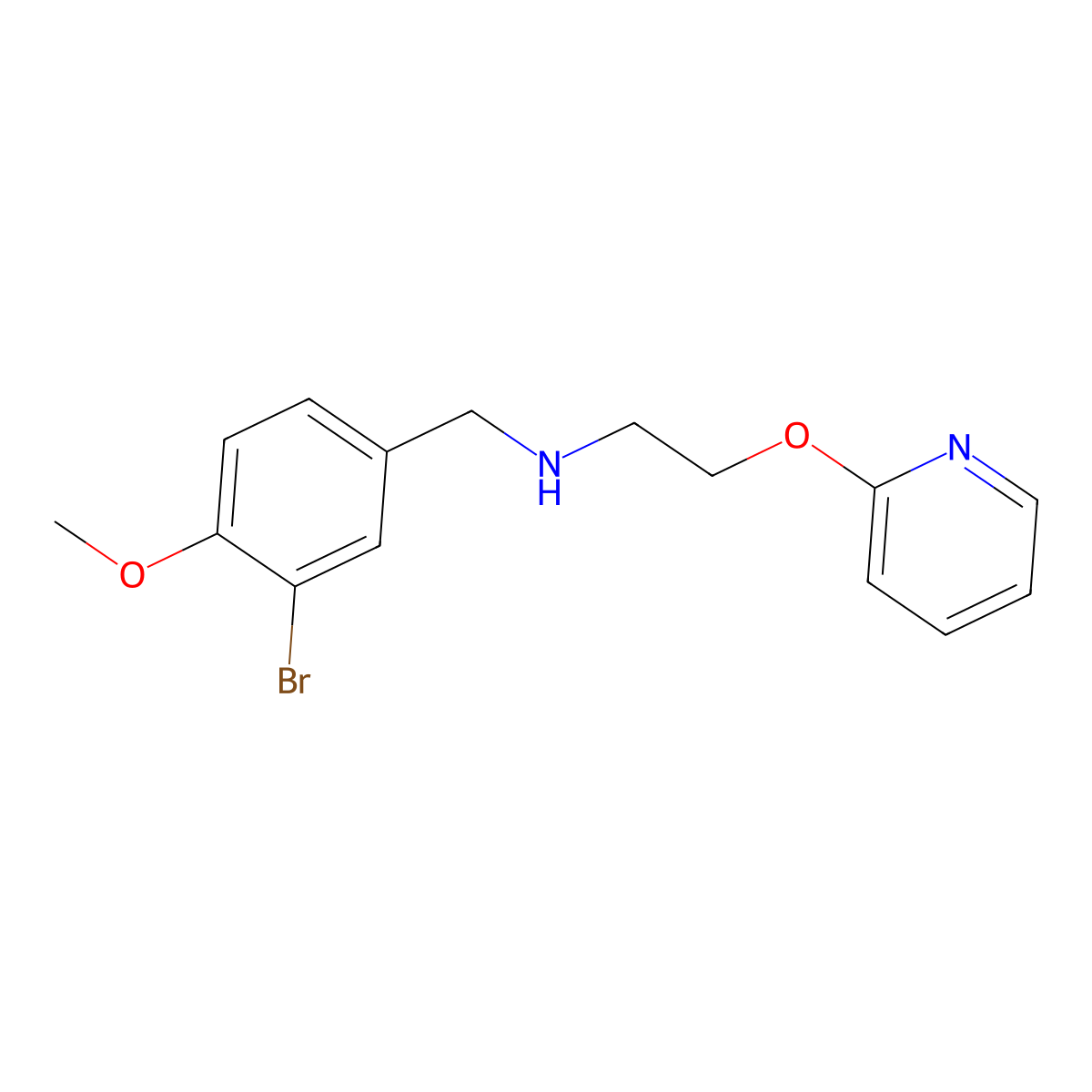 N-(3-bromo-4-methoxybenzyl)-2-(pyridin-2-yloxy)ethanamine molecular structure, CAS 1260713-90-3