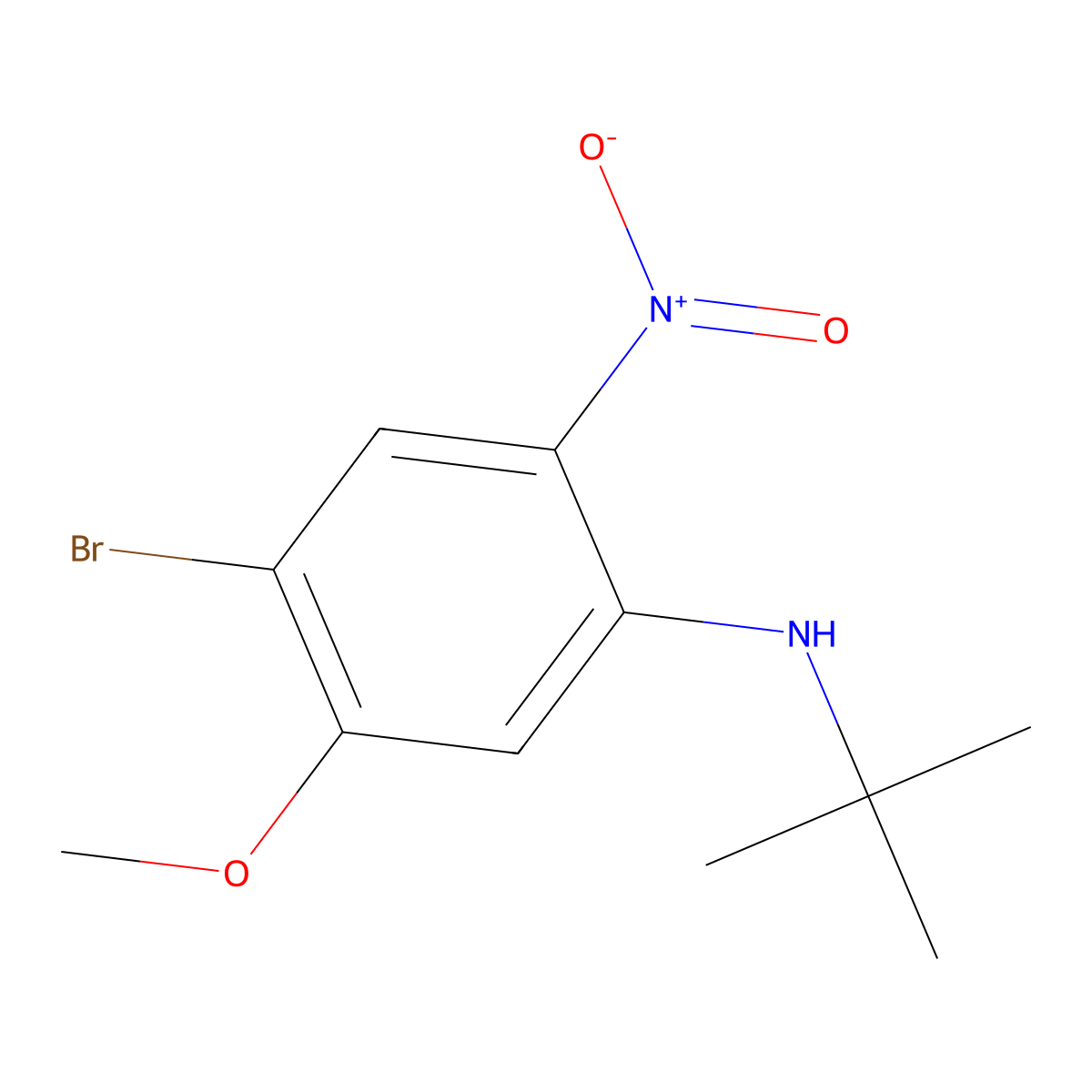 4-Bromo-N-(tert-butyl)-5-methoxy-2-nitroaniline molecular structure, CAS 1261988-45-7