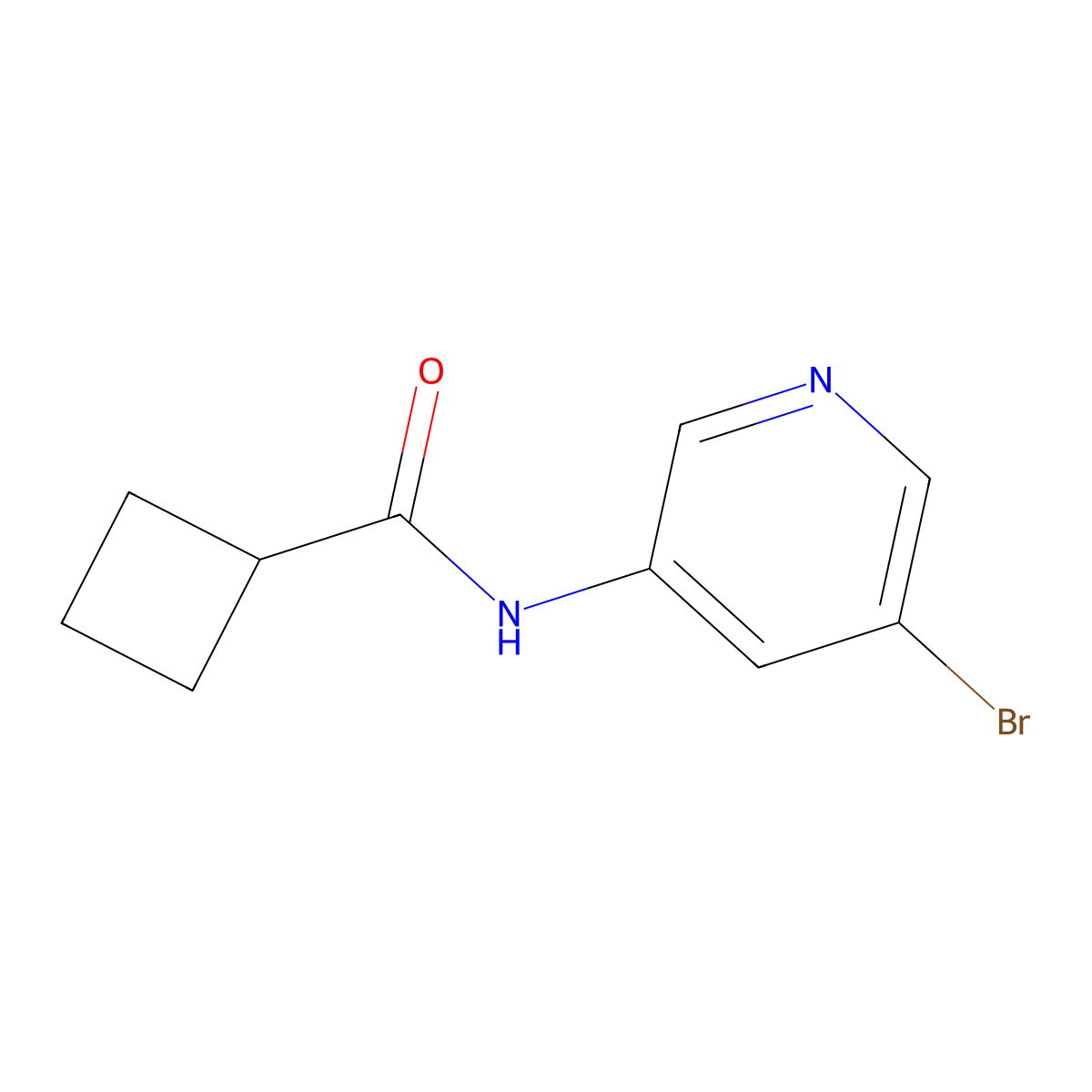 N-(5-bromopyridin-3-yl)cyclobutanecarboxamide molecular structure, CAS 1266227-17-1