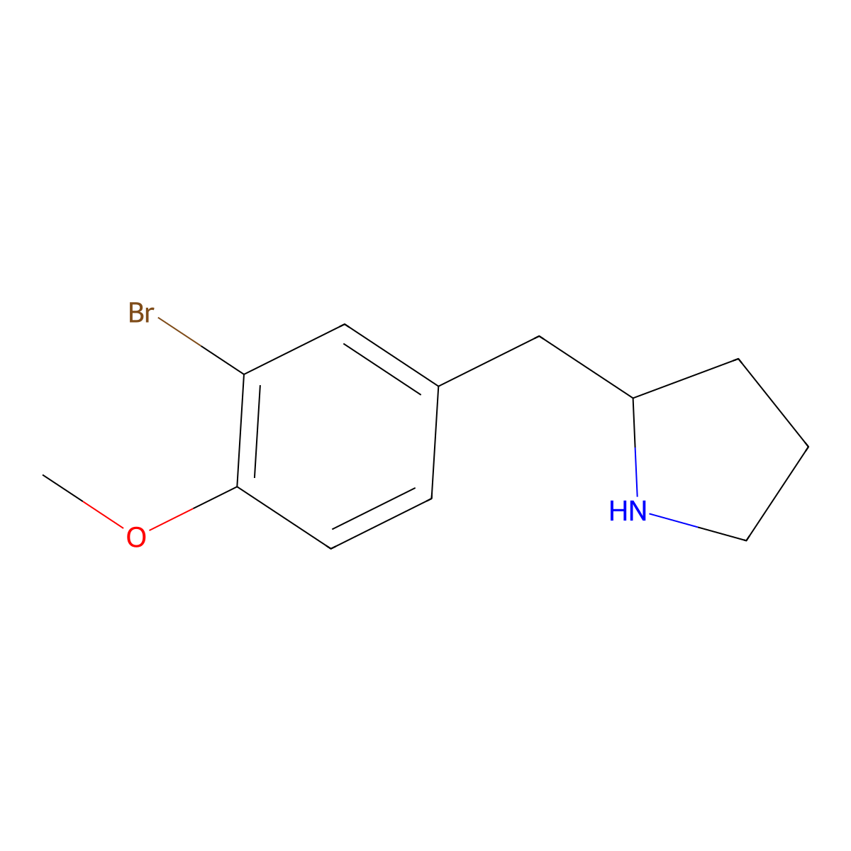 2-(3-Bromo-4-methoxybenzyl)pyrrolidine molecular structure, CAS 1266985-42-5