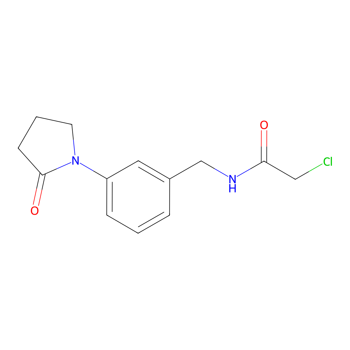 2-chloro-N-{[3-(2-oxopyrrolidin-1-yl)phenyl]methyl}acetamide molecular structure, CAS 1269152-12-6