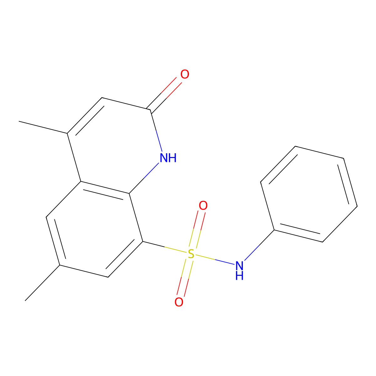4,6-Dimethyl-2-oxo-N-phenyl-1,2-dihydroquinoline-8-sulfonamide molecular structure, CAS 1269277-75-9