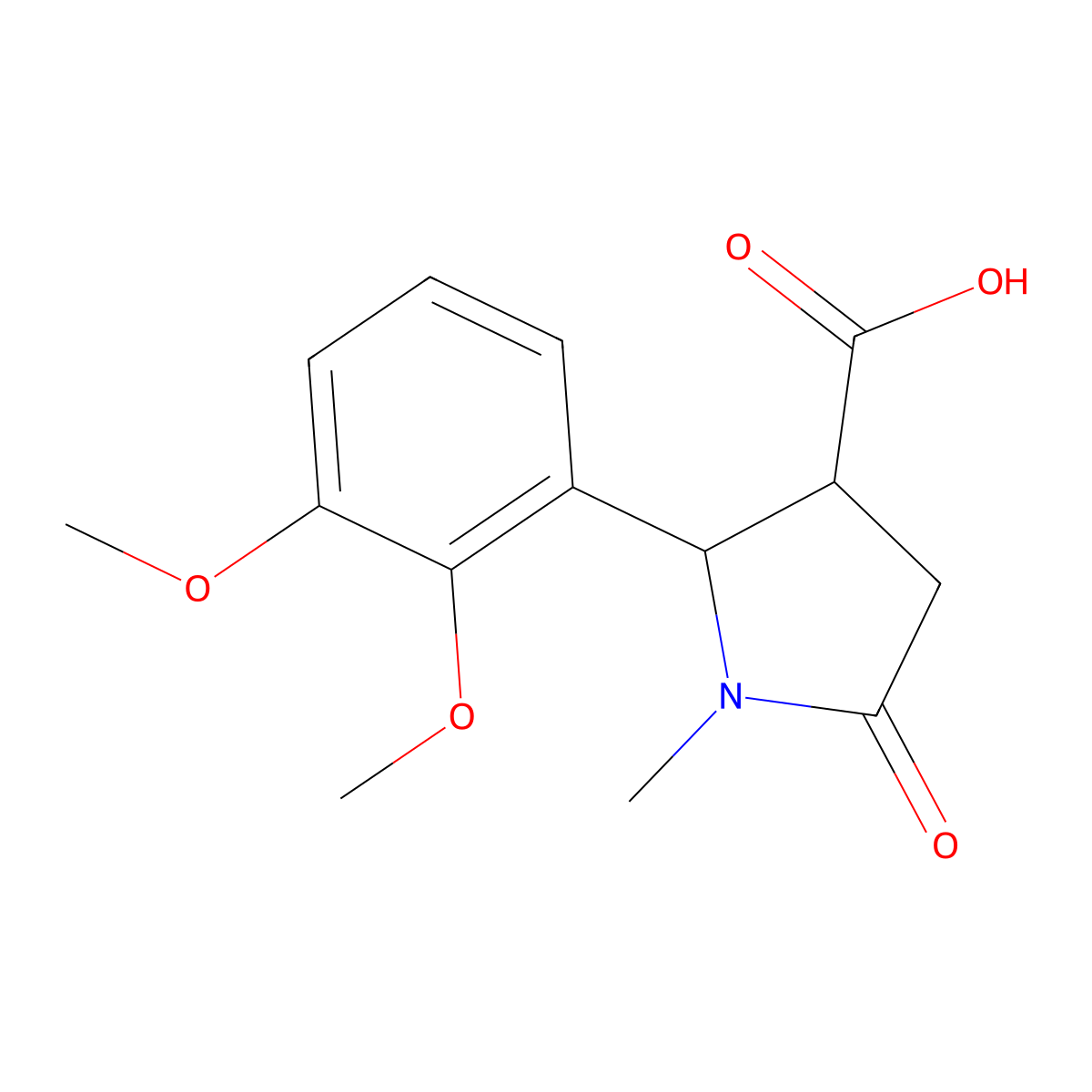 2-(2,3-Dimethoxyphenyl)-1-methyl-5-oxopyrrolidine-3-carboxylic acid molecular structure, CAS 1269529-66-9