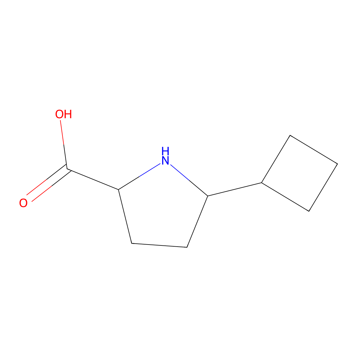 5-Cyclobutylpyrrolidine-2-carboxylic acid molecular structure, CAS 1270315-55-3