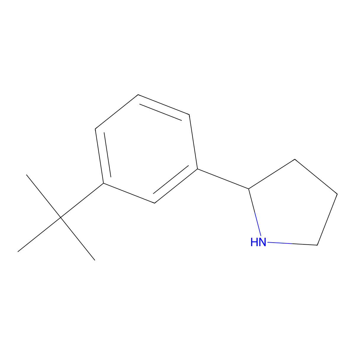 2-(3-Tert-butylphenyl)pyrrolidine molecular structure, CAS 1270330-16-9