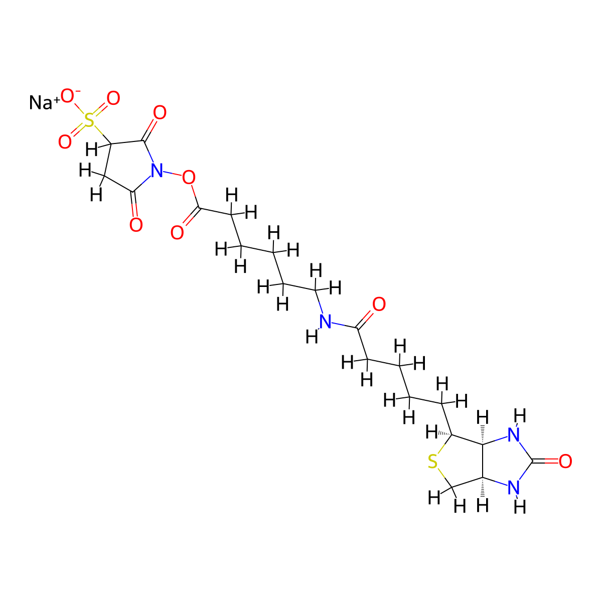 Sulphosuccinimidyl-6-(biotinamido)hexanoate molecular structure, CAS 127062-22-0