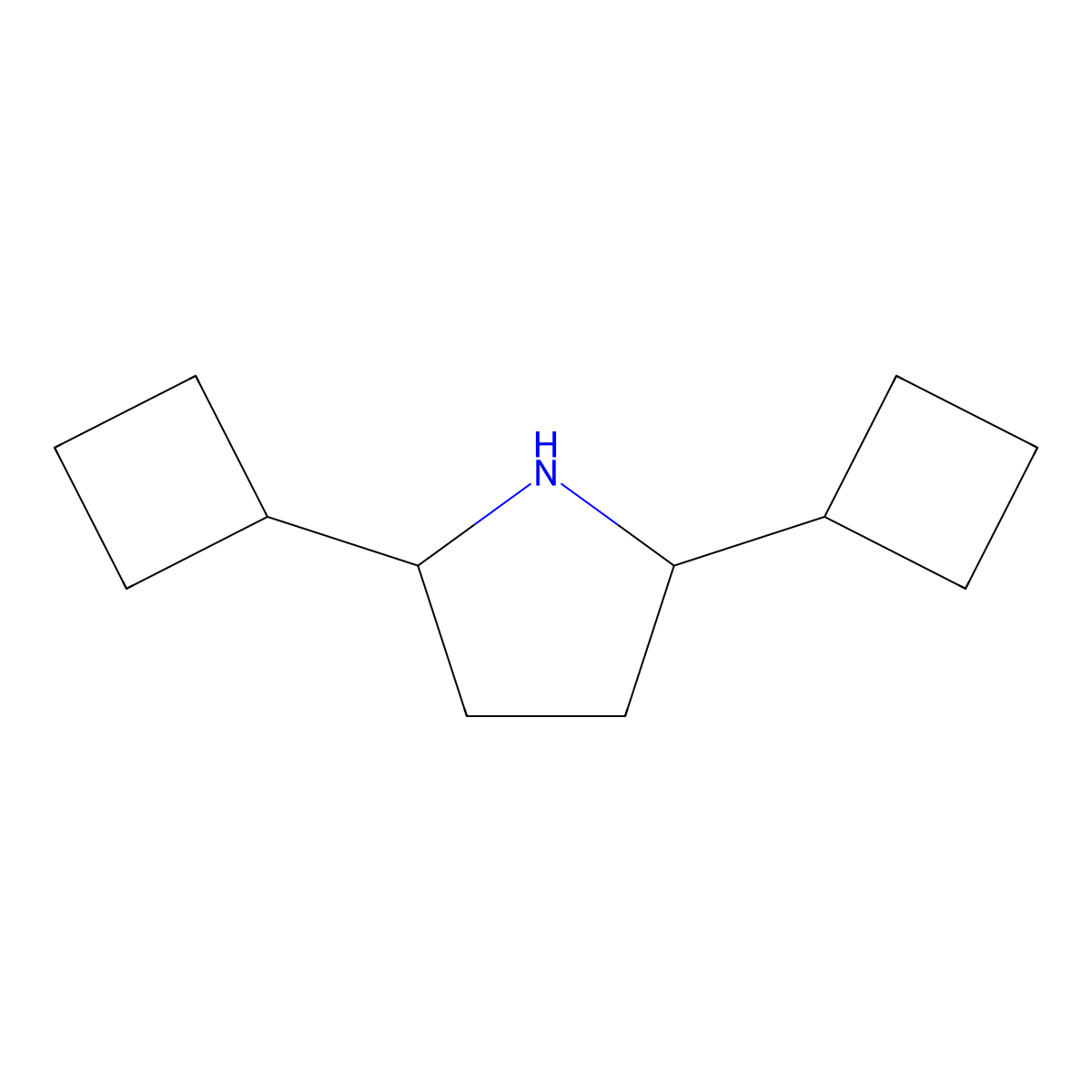 2,5-Dicyclobutylpyrrolidine molecular structure, CAS 1273649-79-8