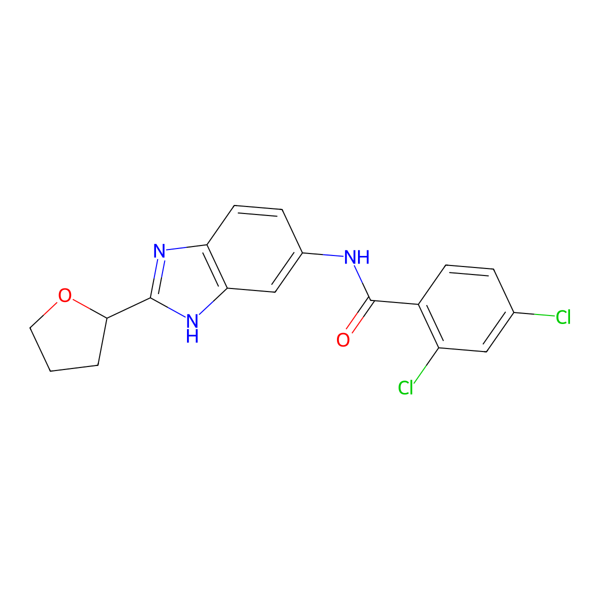 2,4-dichloro-N-[2-(tetrahydrofuran-2-yl)-1H-benzimidazol-5-yl]benzamide molecular structure, CAS 1279239-98-3
