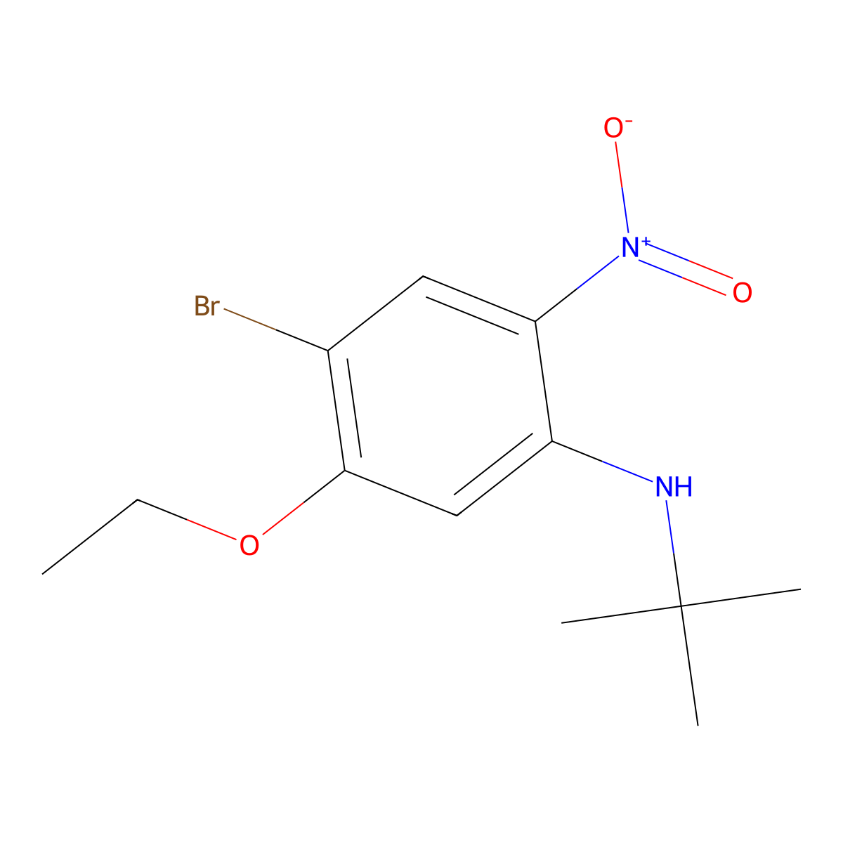 4-Bromo-N-tert-butyl-5-ethoxy-2-nitroaniline molecular structure, CAS 1280786-66-4