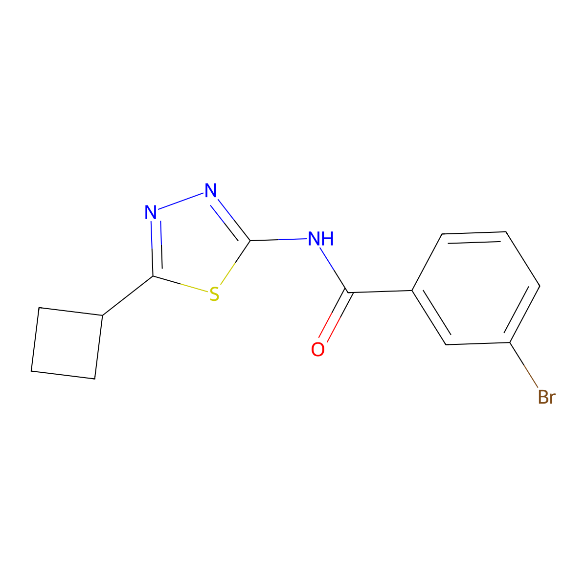 3-bromo-N-(5-cyclobutyl-1,3,4-thiadiazol-2-yl)benzamide molecular structure, CAS 1282095-88-8