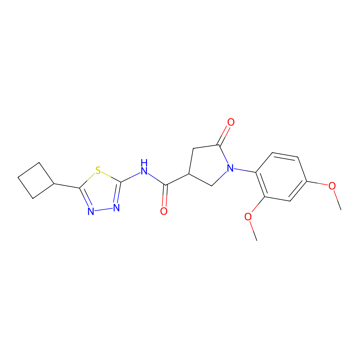 N-(5-cyclobutyl-1,3,4-thiadiazol-2-yl)-1-(2,4-dimethoxyphenyl)-5-oxopyrrolidine-3-carboxamide molecular structure, CAS 1282096-02-9