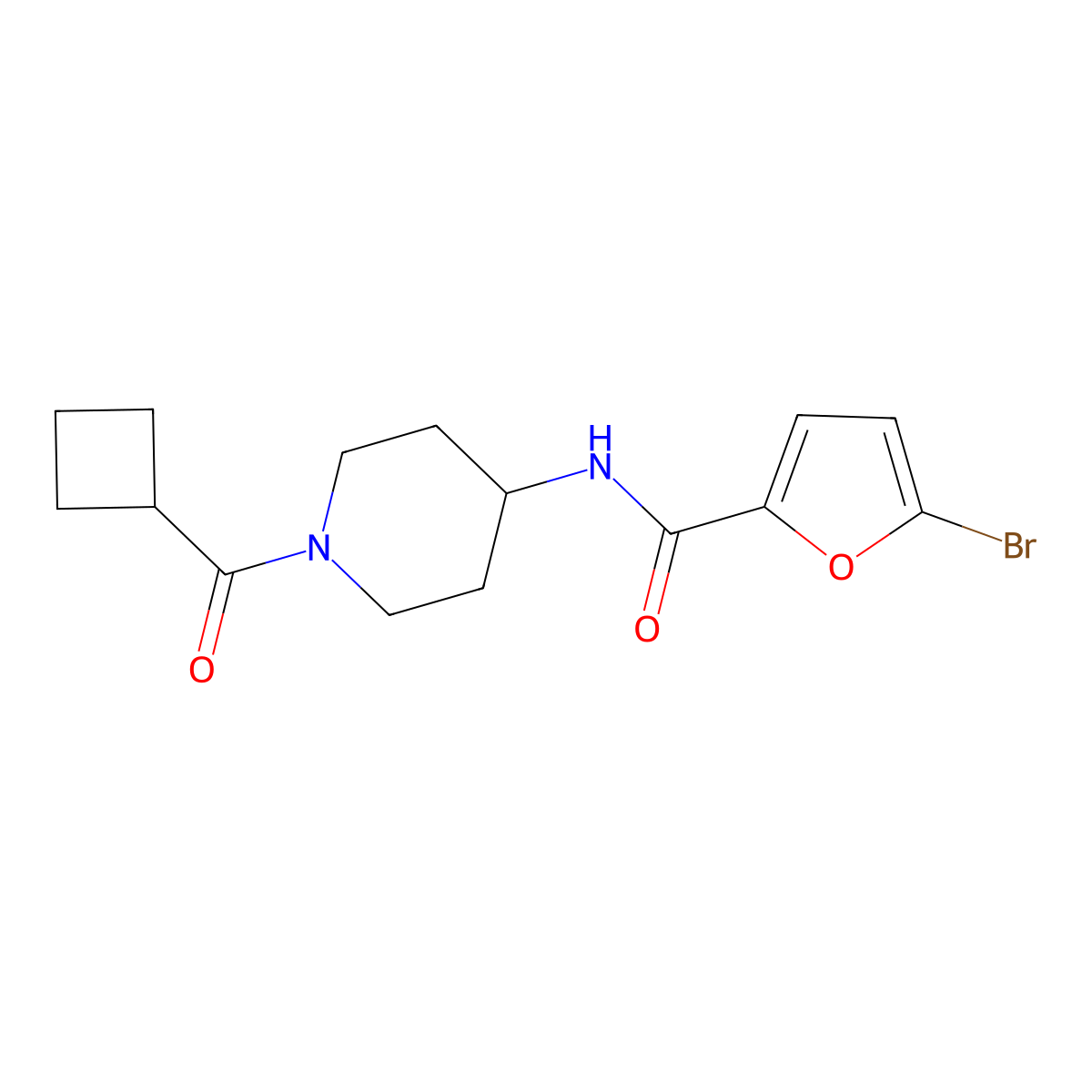 5-bromo-N-[1-(cyclobutylcarbonyl)piperidin-4-yl]furan-2-carboxamide molecular structure, CAS 1282122-67-1