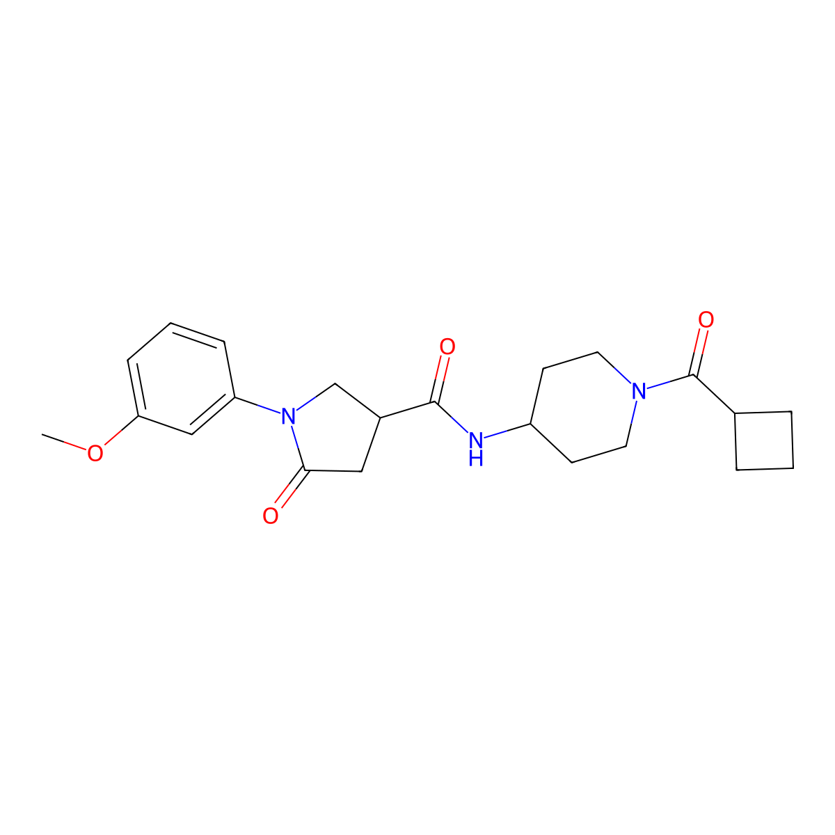 N-[1-(cyclobutylcarbonyl)piperidin-4-yl]-1-(3-methoxyphenyl)-5-oxopyrrolidine-3-carboxamide molecular structure, CAS 1282123-88-9