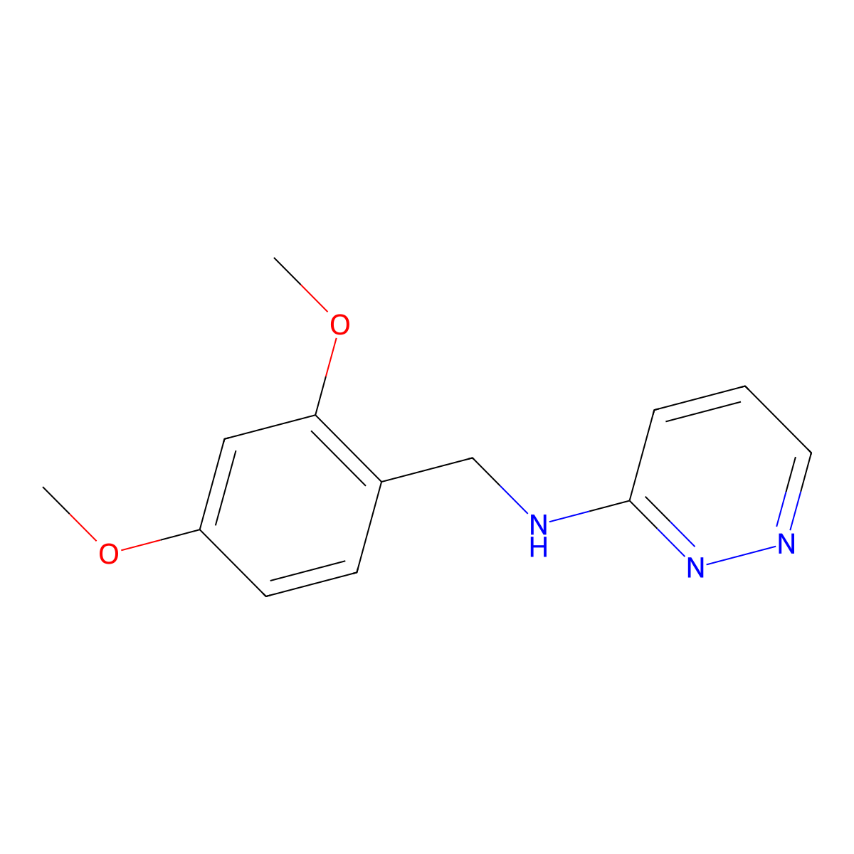 N-(2,4-dimethoxybenzyl)pyridazin-3-amine molecular structure, CAS 1283548-60-6