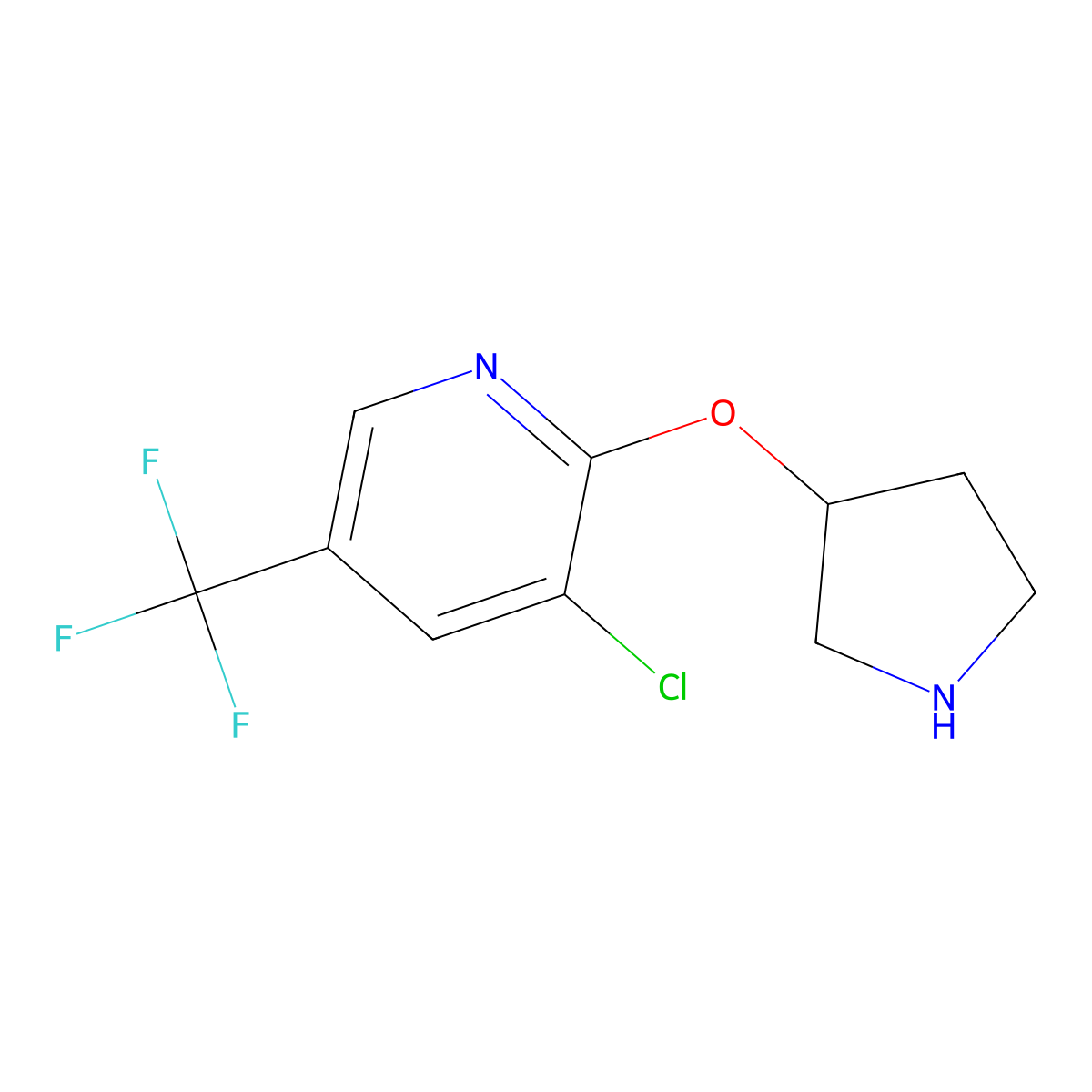 3-Chloro-2-(pyrrolidin-3-yloxy)-5-(trifluoromethyl)pyridine molecular structure, CAS 1284108-82-2