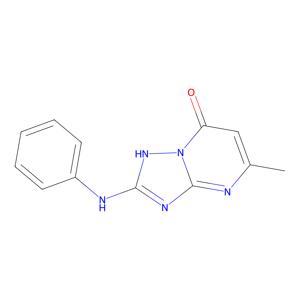 5-methyl-2-(phenylamino)-[1,2,4]triazolo[1,5-a]pyrimidin-7(3H)-one molecular structure, CAS 128626-81-3