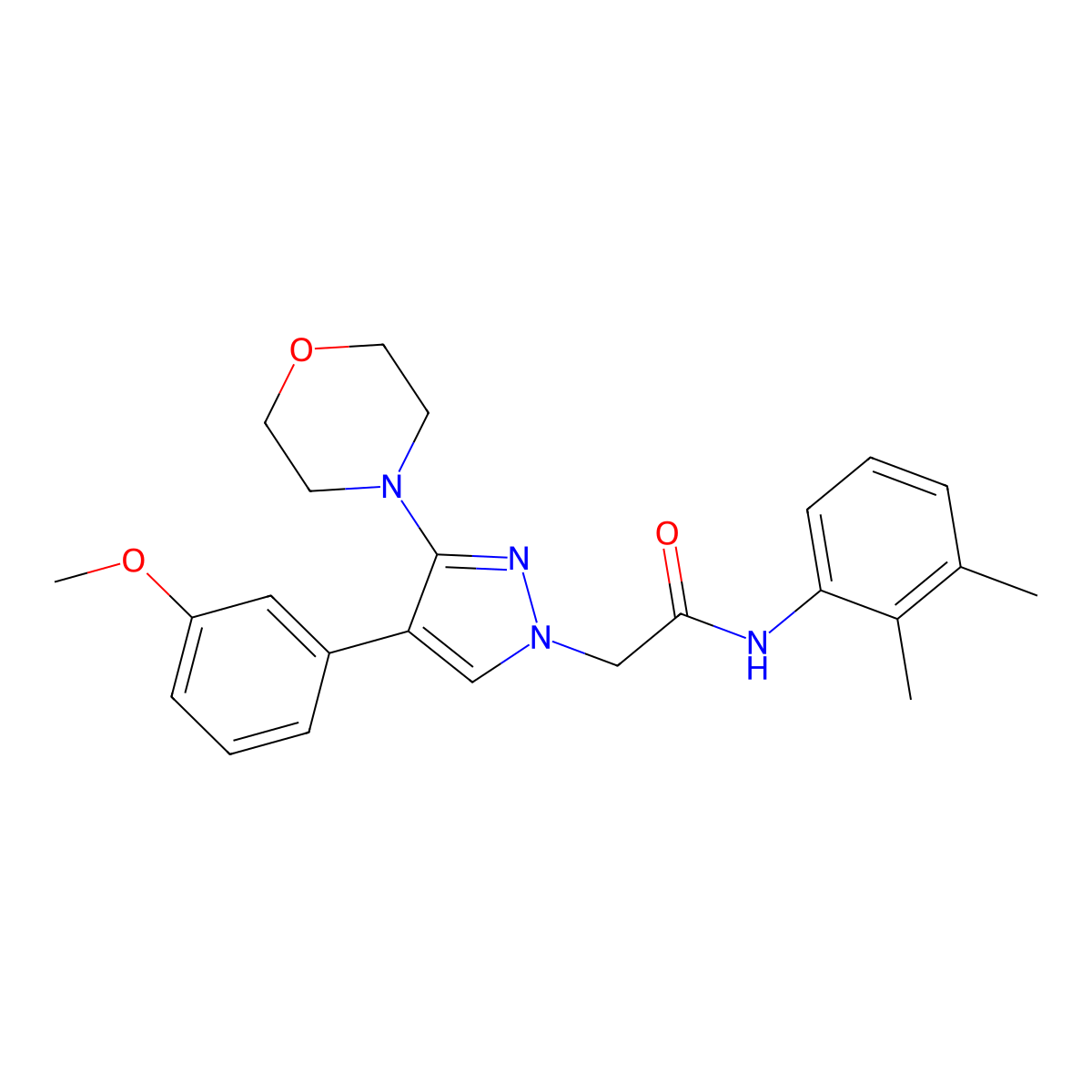 N-(2,3-dimethylphenyl)-2-[4-(3-methoxyphenyl)-3-(morpholin-4-yl)-1H-pyrazol-1-yl]acetamide molecular structure, CAS 1286719-43-4