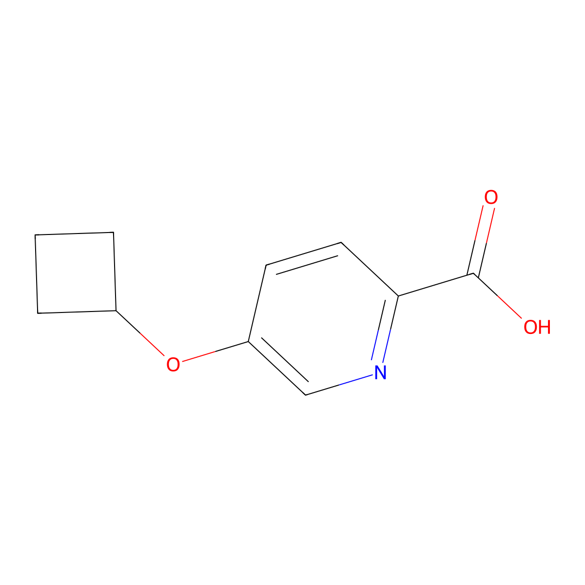 5-Cyclobutoxypyridine-2-carboxylic acid molecular structure, CAS 1286777-31-8