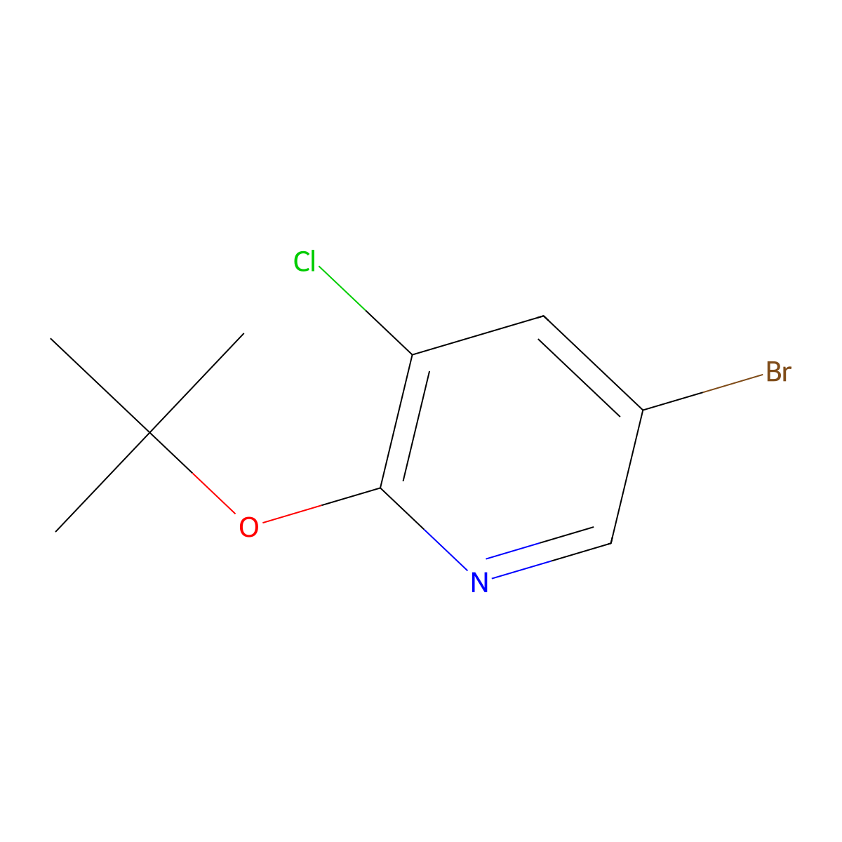 5-Bromo-2-(tert-butoxy)-3-chloropyridine molecular structure, CAS 1289021-52-8