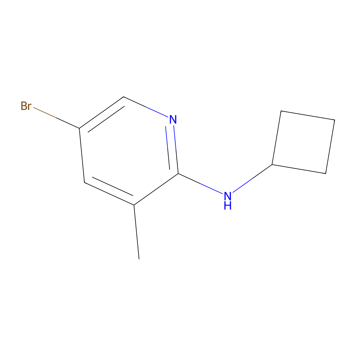 5-bromo-N-cyclobutyl-3-methylpyridin-2-amine molecular structure, CAS 1289040-78-3