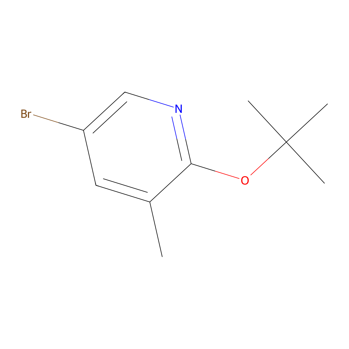 5-Bromo-2-(tert-butoxy)-3-methylpyridine molecular structure, CAS 1289113-39-8