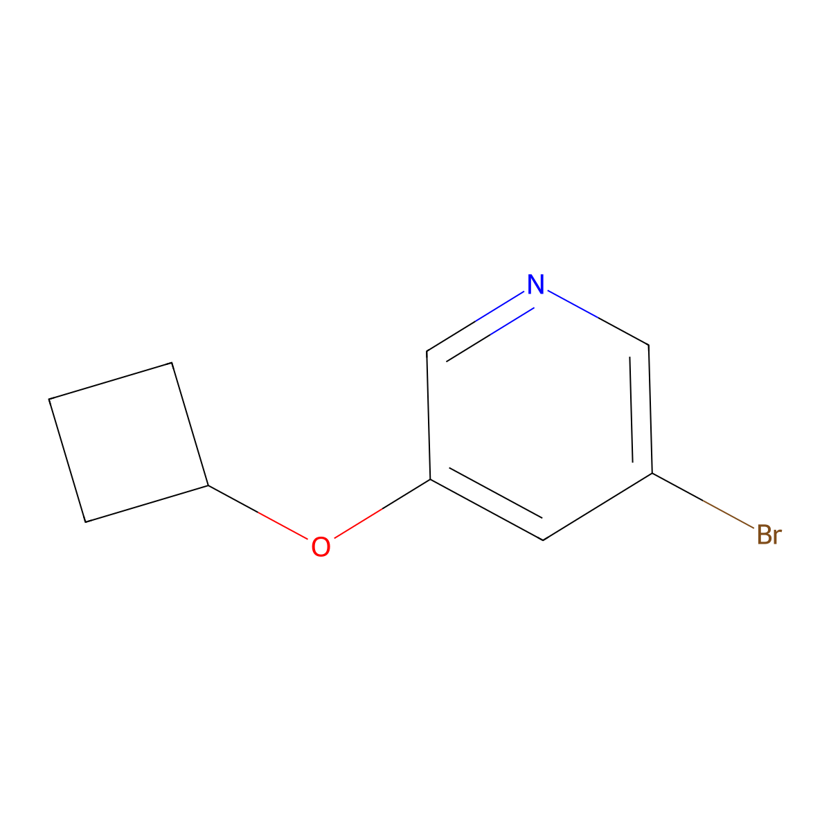3-Bromo-5-cyclobutoxypyridine molecular structure, CAS 1289122-57-1
