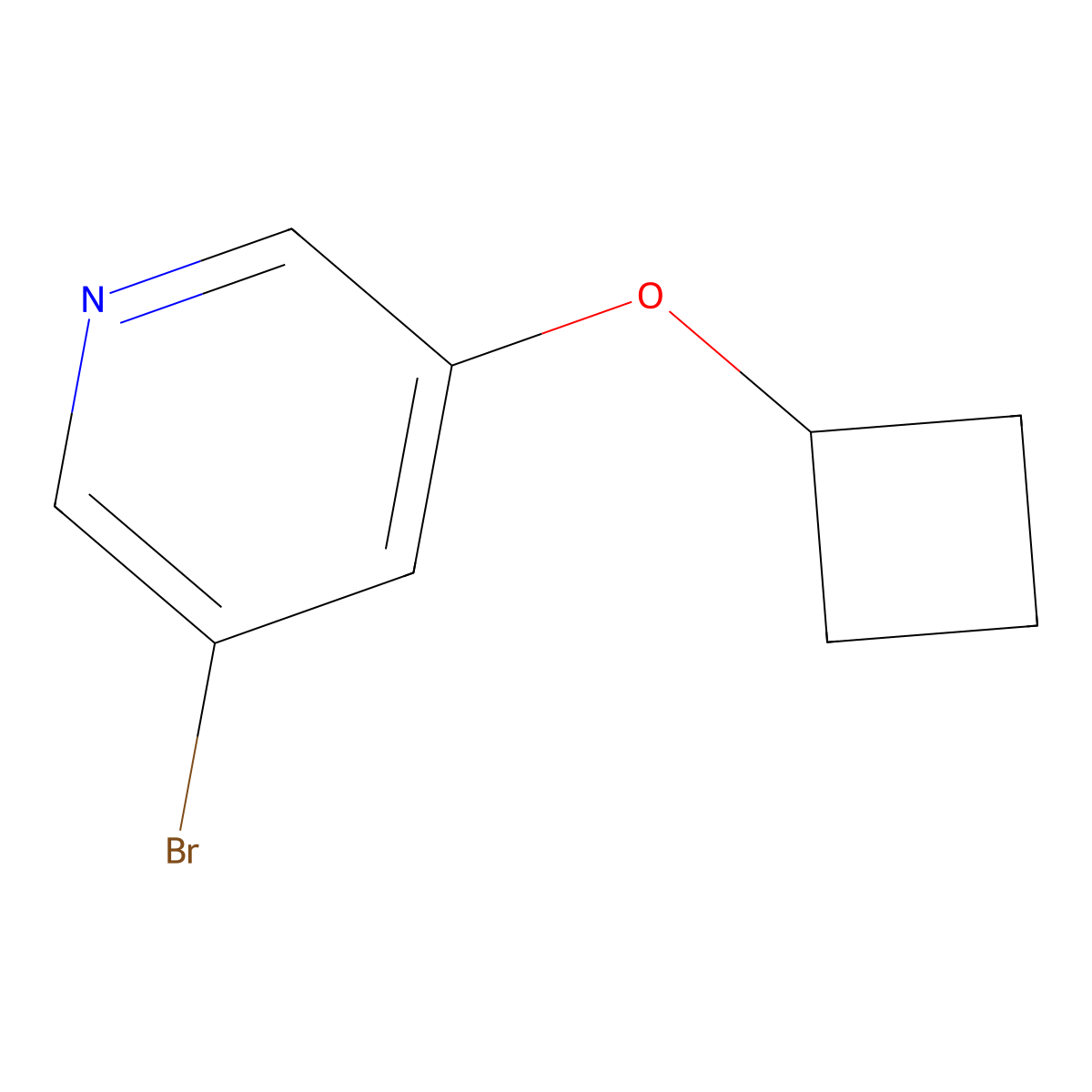 3-Bromo-5-cyclobutoxypyridine molecular structure, CAS 1289122-57-1