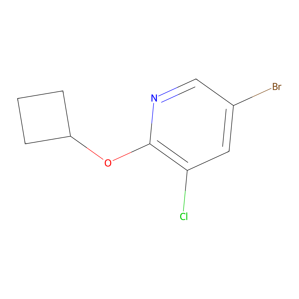 5-Bromo-3-chloro-2-cyclobutoxypyridine molecular structure, CAS 1289132-73-5