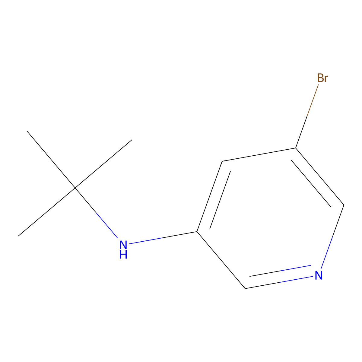 5-bromo-N-tert-butylpyridin-3-amine molecular structure, CAS 1289153-47-4