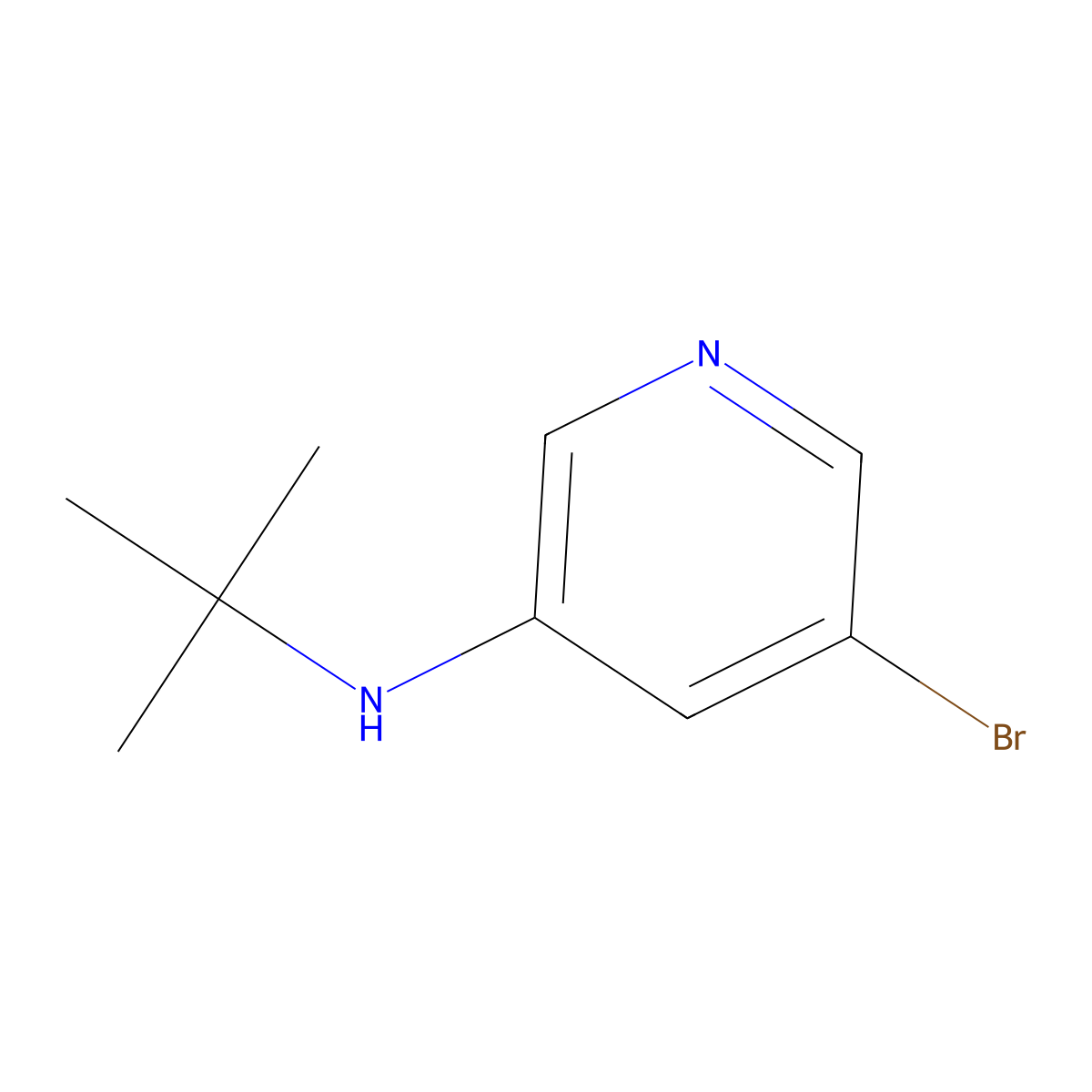 5-bromo-N-tert-butylpyridin-3-amine molecular structure, CAS 1289153-47-4