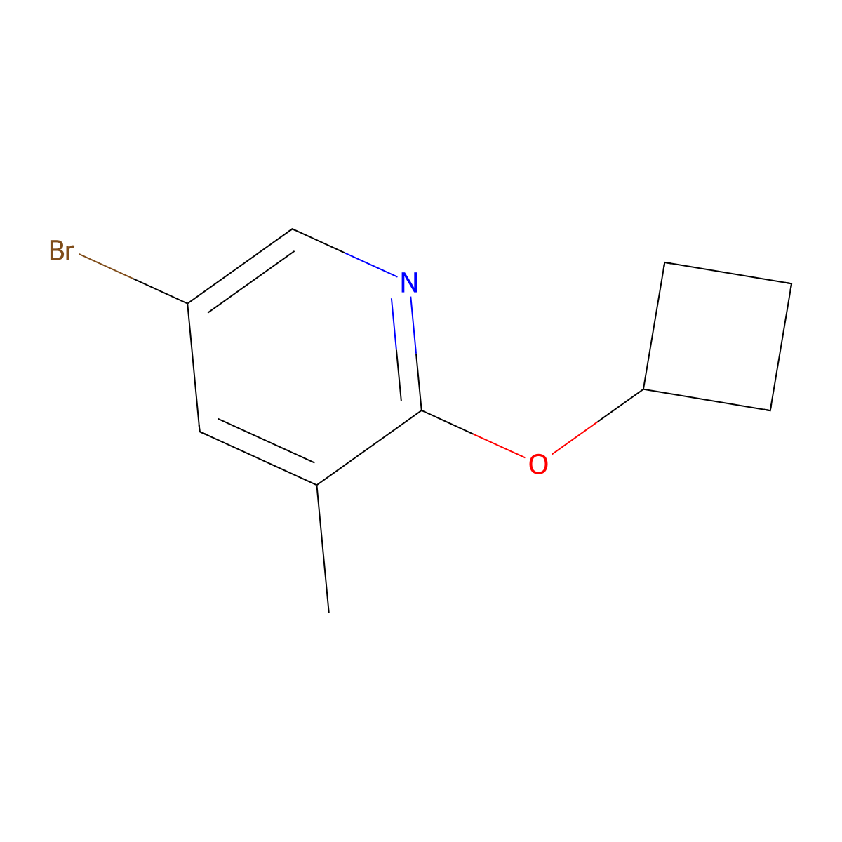 5-Bromo-2-cyclobutoxy-3-methylpyridine molecular structure, CAS 1289177-22-5
