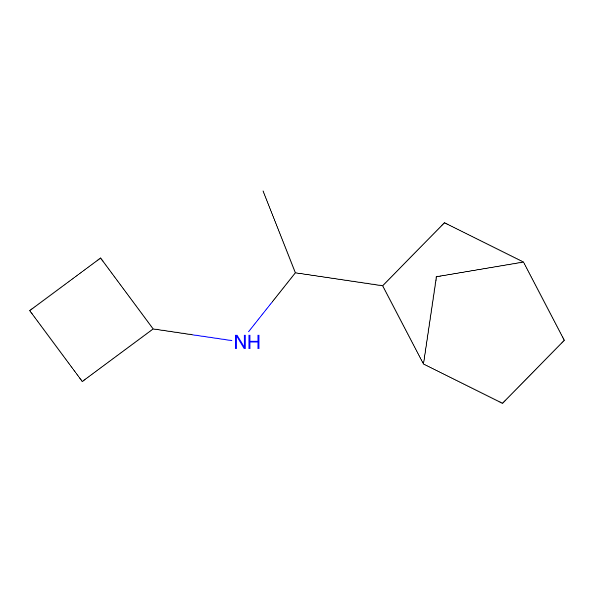 N-(1-{bicyclo[2.2.1]heptan-2-yl}ethyl)cyclobutanamine molecular structure, CAS 1292426-44-8