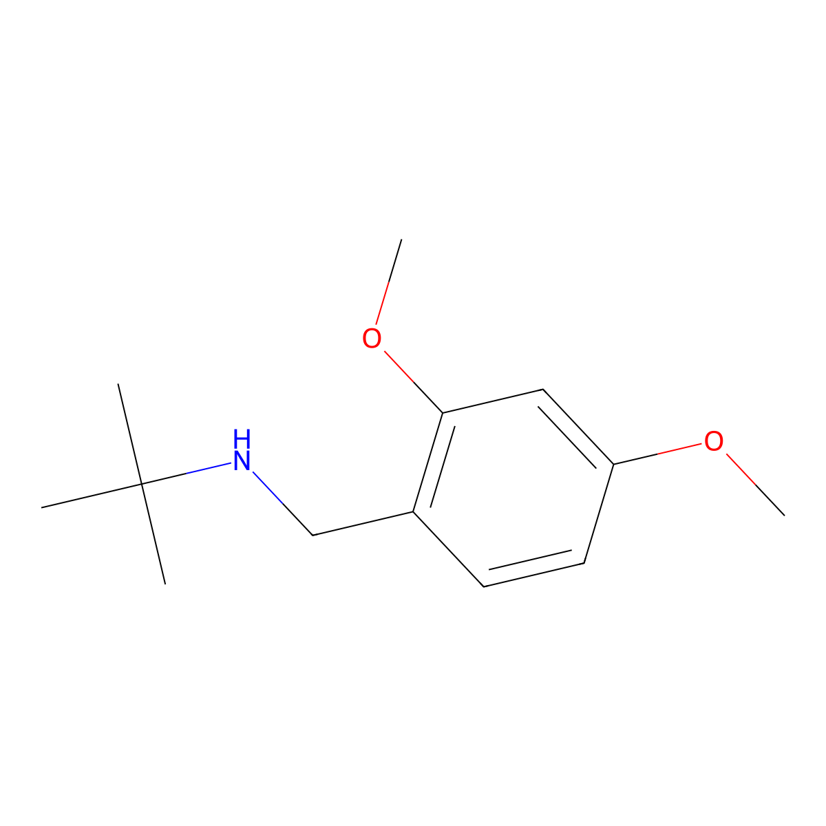 Tert-butyl[(2,4-dimethoxyphenyl)methyl]amine molecular structure, CAS 130539-87-6