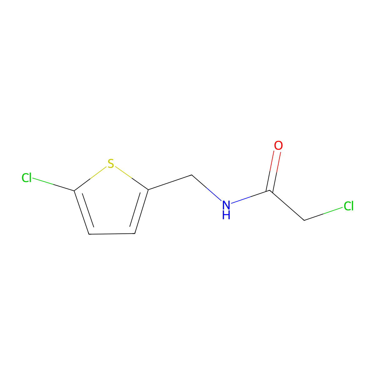 2-chloro-N-[(5-chlorothiophen-2-yl)methyl]acetamide molecular structure, CAS 1305712-19-9