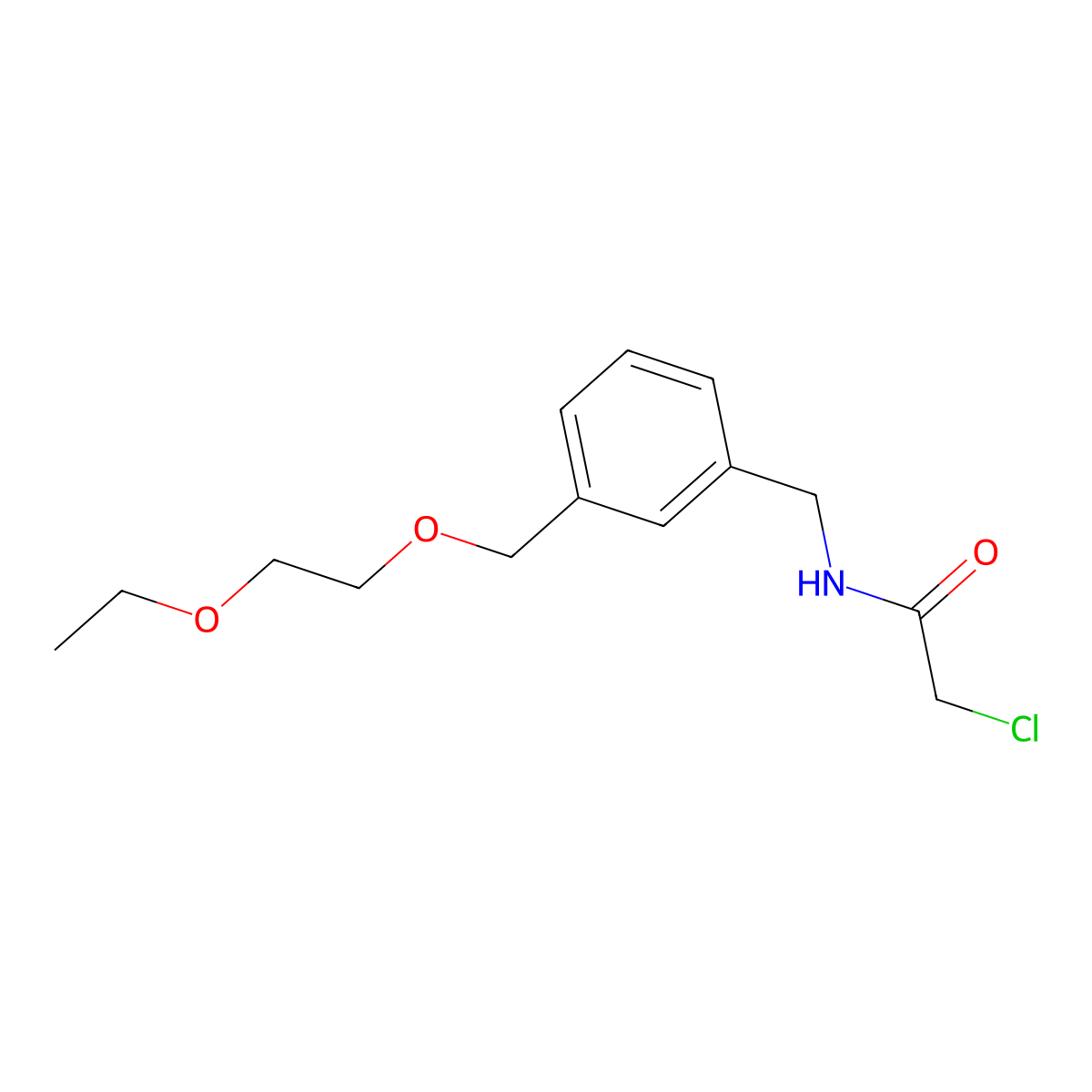 2-chloro-N-({3-[(2-ethoxyethoxy)methyl]phenyl}methyl)acetamide molecular structure, CAS 1306605-63-9