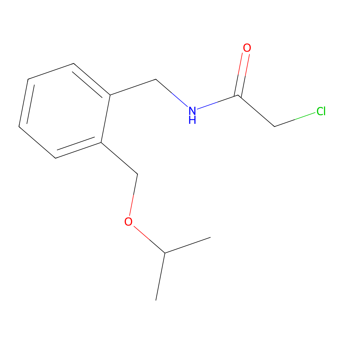 2-chloro-N-({2-[(propan-2-yloxy)methyl]phenyl}methyl)acetamide molecular structure, CAS 1306606-10-9