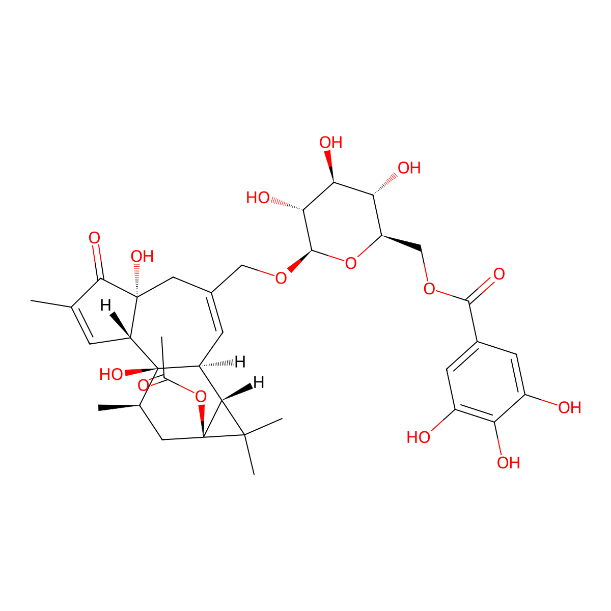 Fischeroside B molecular structure, CAS 1307257-08-4