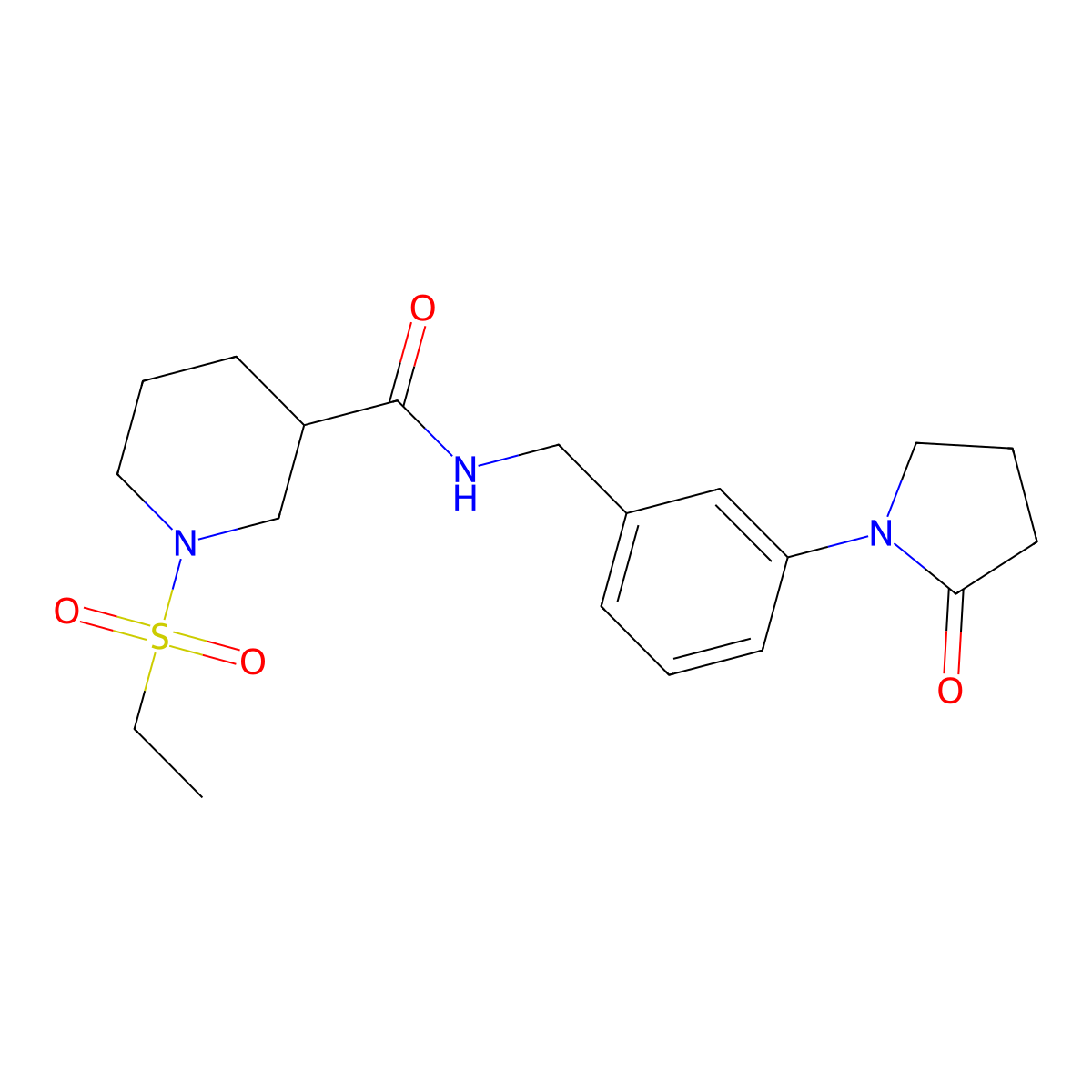 1-(ethylsulfonyl)-N-[3-(2-oxopyrrolidin-1-yl)benzyl]piperidine-3-carboxamide molecular structure, CAS 1309196-25-5
