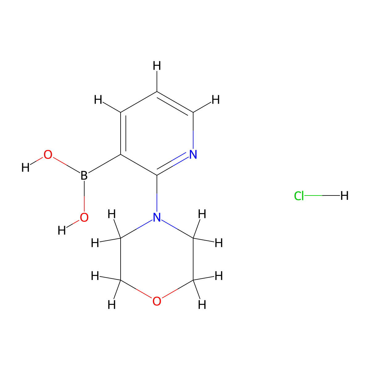 2-Morpholinopyridine-3-Boronic Acid Hydrochloride molecular structure, CAS 1309979-68-7