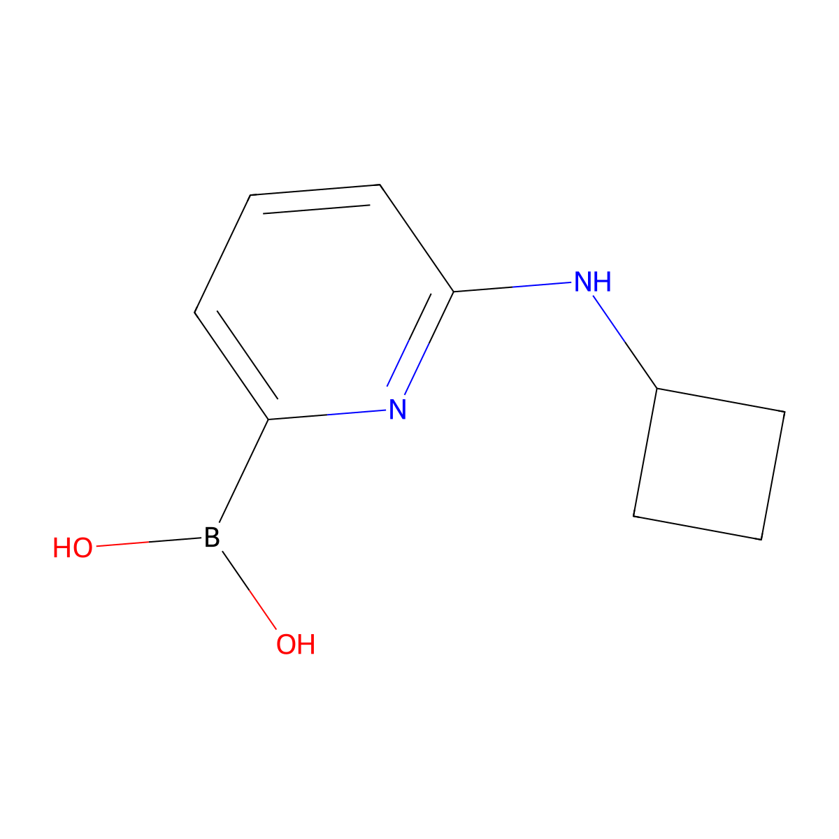 (6-(Cyclobutylamino)pyridin-2-yl)boronic acid molecular structure, CAS 1309981-35-8