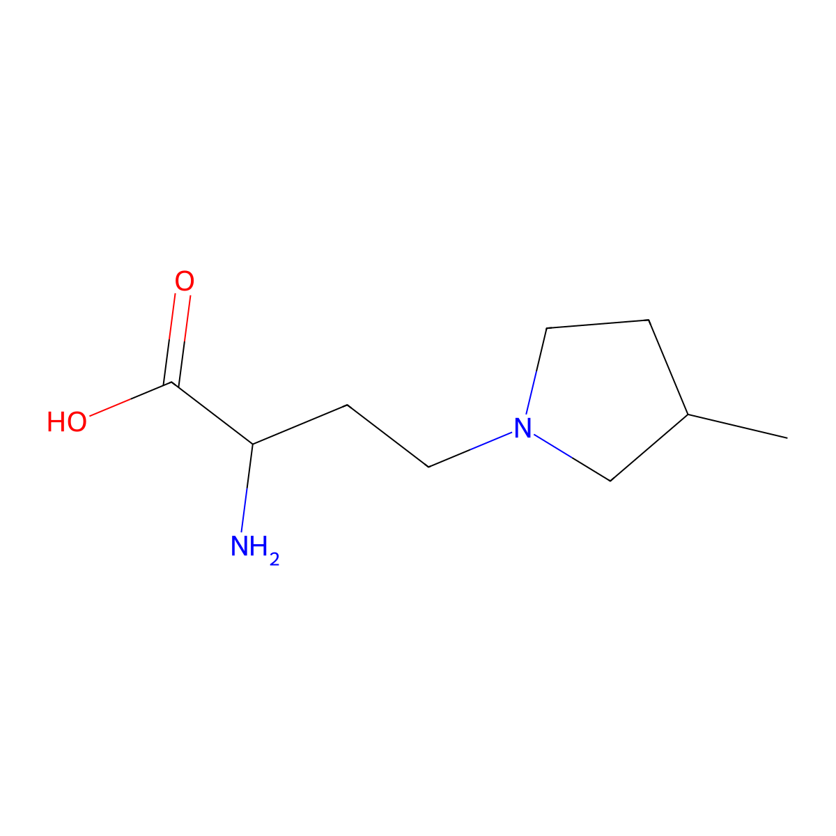 2-Amino-4-(3-methylpyrrolidin-1-yl)butanoic acid molecular structure, CAS 1310080-52-4