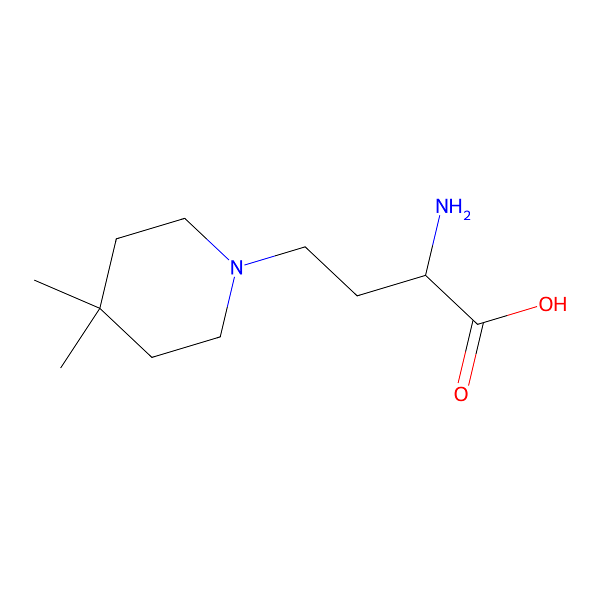 2-Amino-4-(4,4-dimethylpiperidin-1-yl)butanoic acid molecular structure, CAS 1310081-87-8