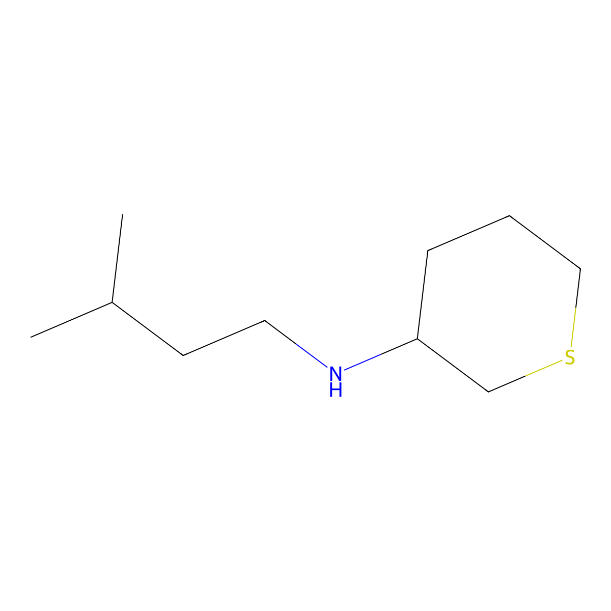 N-(3-methylbutyl)thian-3-amine molecular structure, CAS 1310103-48-0
